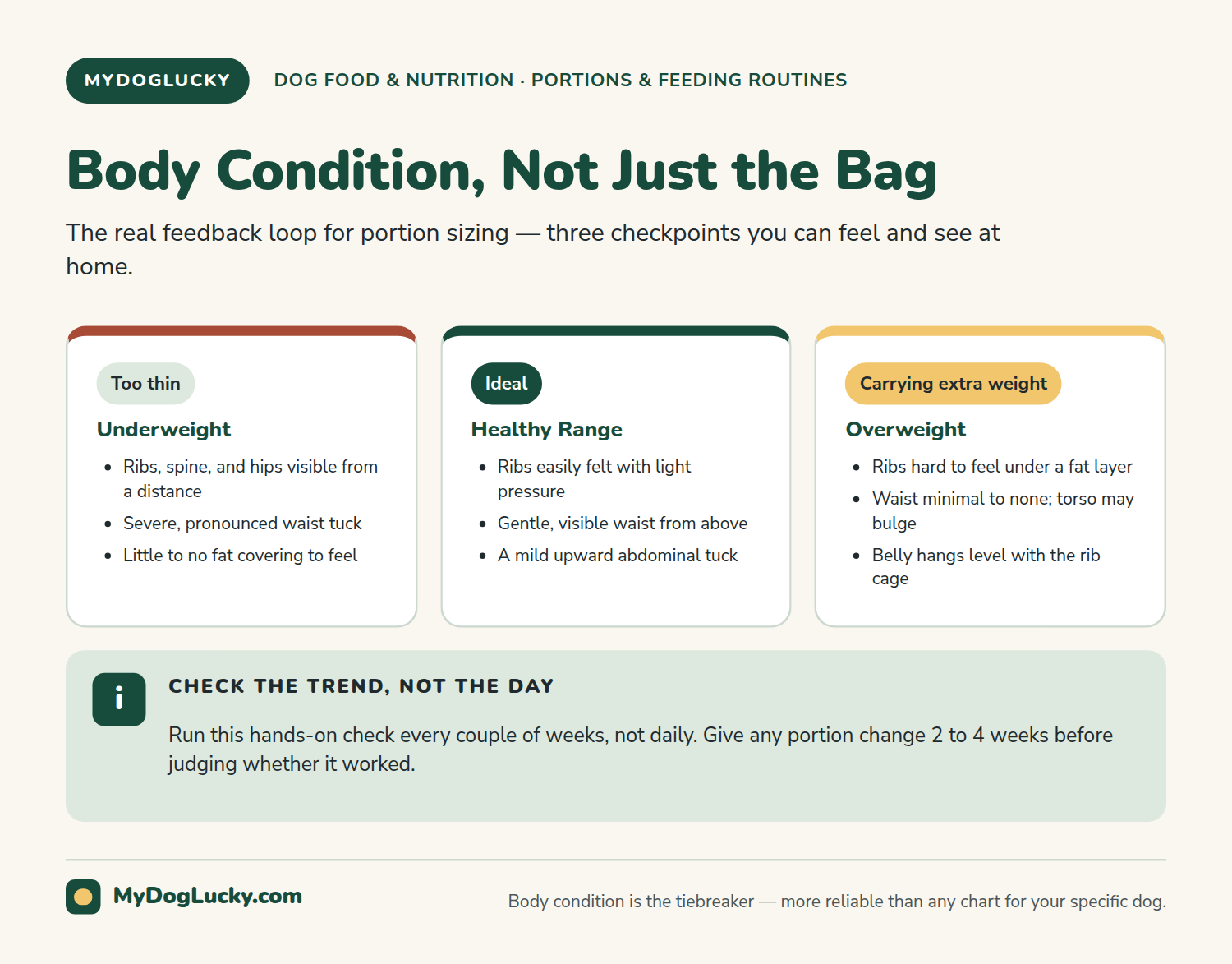How much should I feed my dog infographic showing three body condition categories for dogs (too thin, ideal, carrying extra weight) with rib, waist, and tuck checkpoints for each.