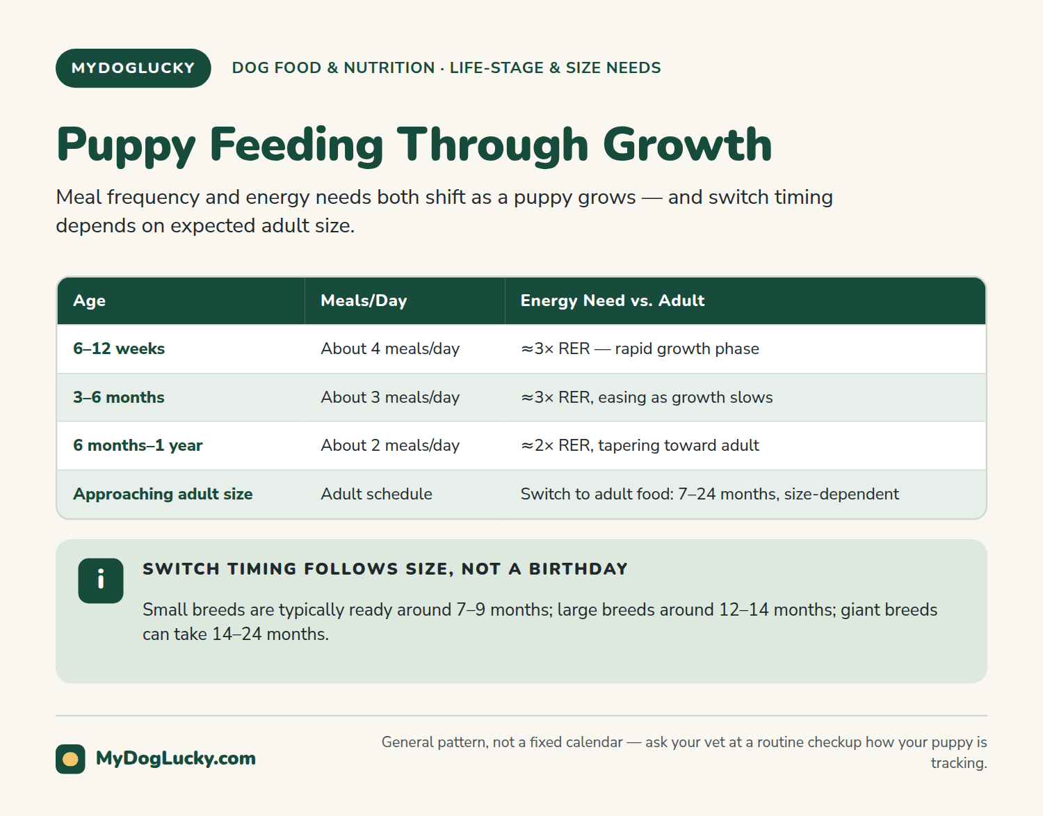 Best puppy food infographic table showing how meal frequency and energy needs shift across a puppy's growth stages, with a note on when to switch to adult food by size.