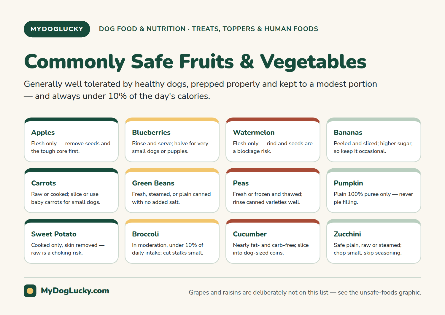 Can dogs eat fruits and vegetables infographic grid of fruits and vegetables commonly considered safe for dogs, including apples, blueberries, watermelon, carrots, green beans, and pumpkin, each with a brief prep note.