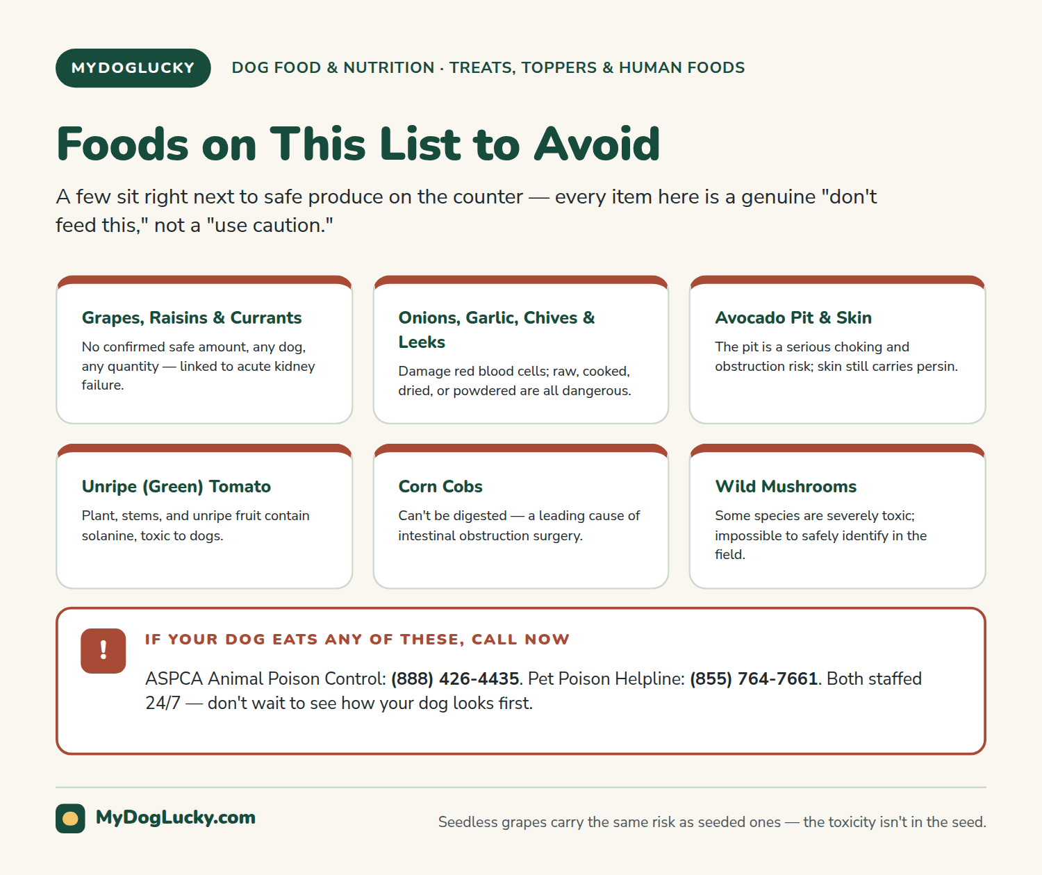 Can dogs eat fruits and vegetables infographic listing fruits and vegetables that are unsafe for dogs, including grapes, raisins, onions, garlic, and avocado pit and skin, with a panel on calling the vet or poison control if eaten.