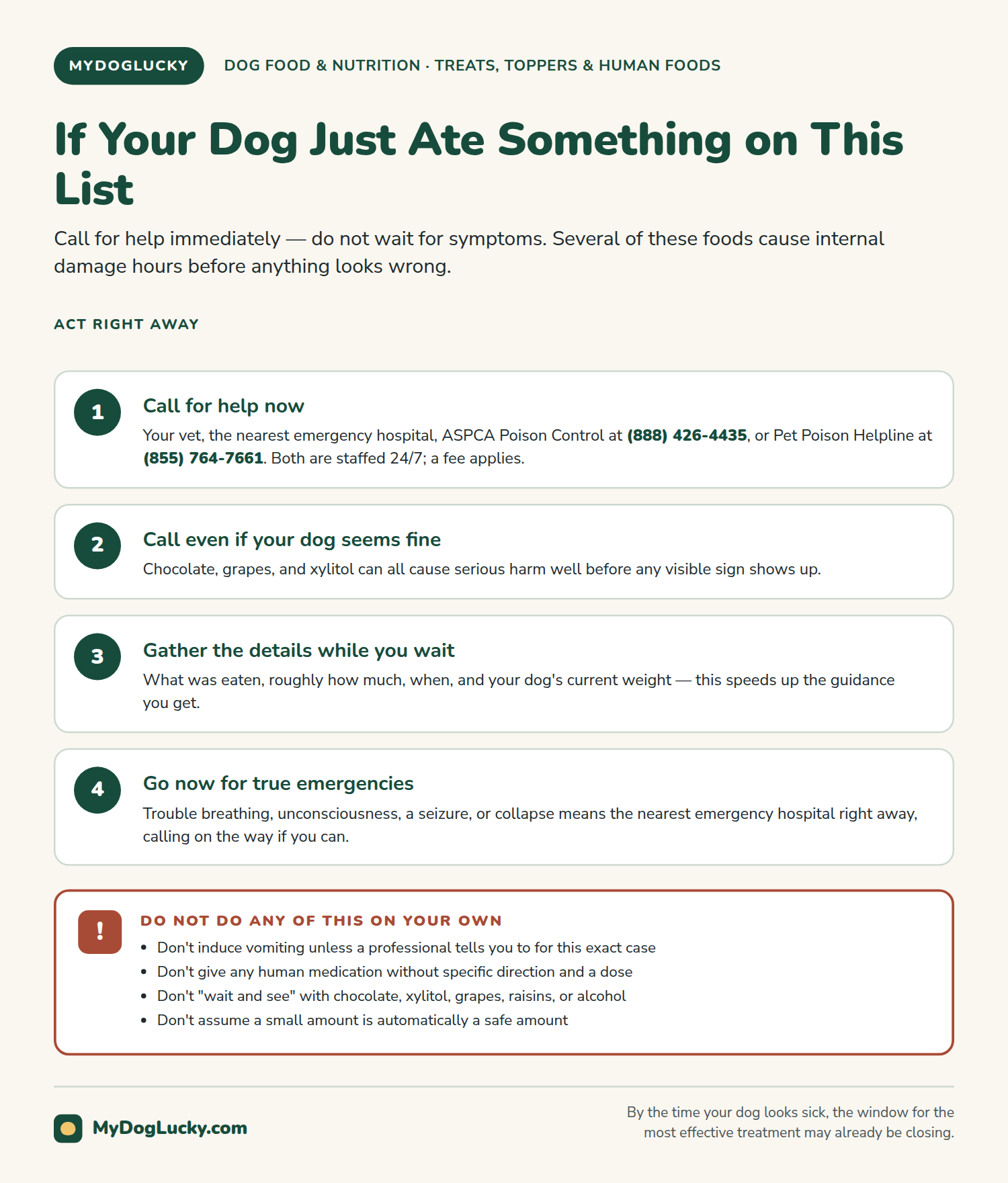 Foods toxic to dogs infographic showing immediate action steps if a dog eats a toxic food, including contacting a vet or poison control right away, plus a list of things not to do while waiting.