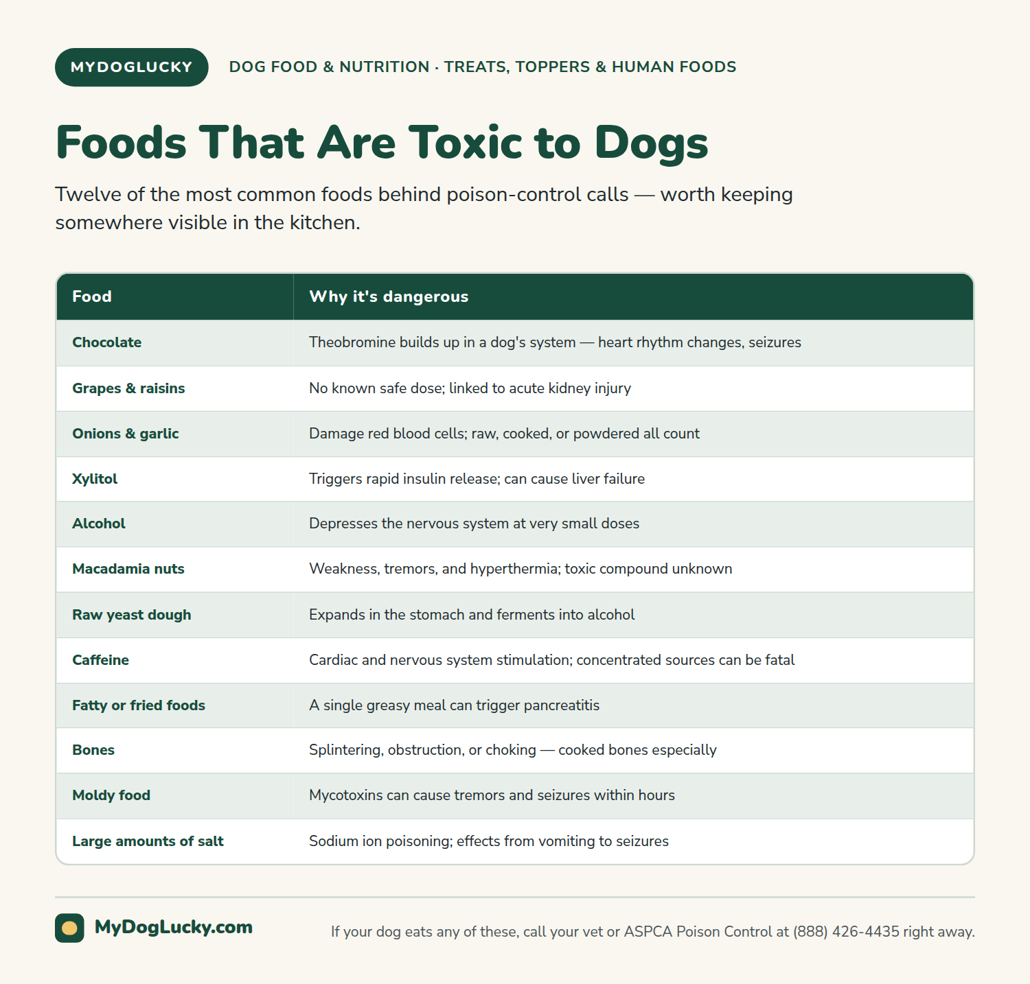Foods toxic to dogs infographic grid listing foods toxic to dogs, including chocolate, grapes and raisins, onions and garlic, xylitol, alcohol, and macadamia nuts, each with a brief note on why it's dangerous.