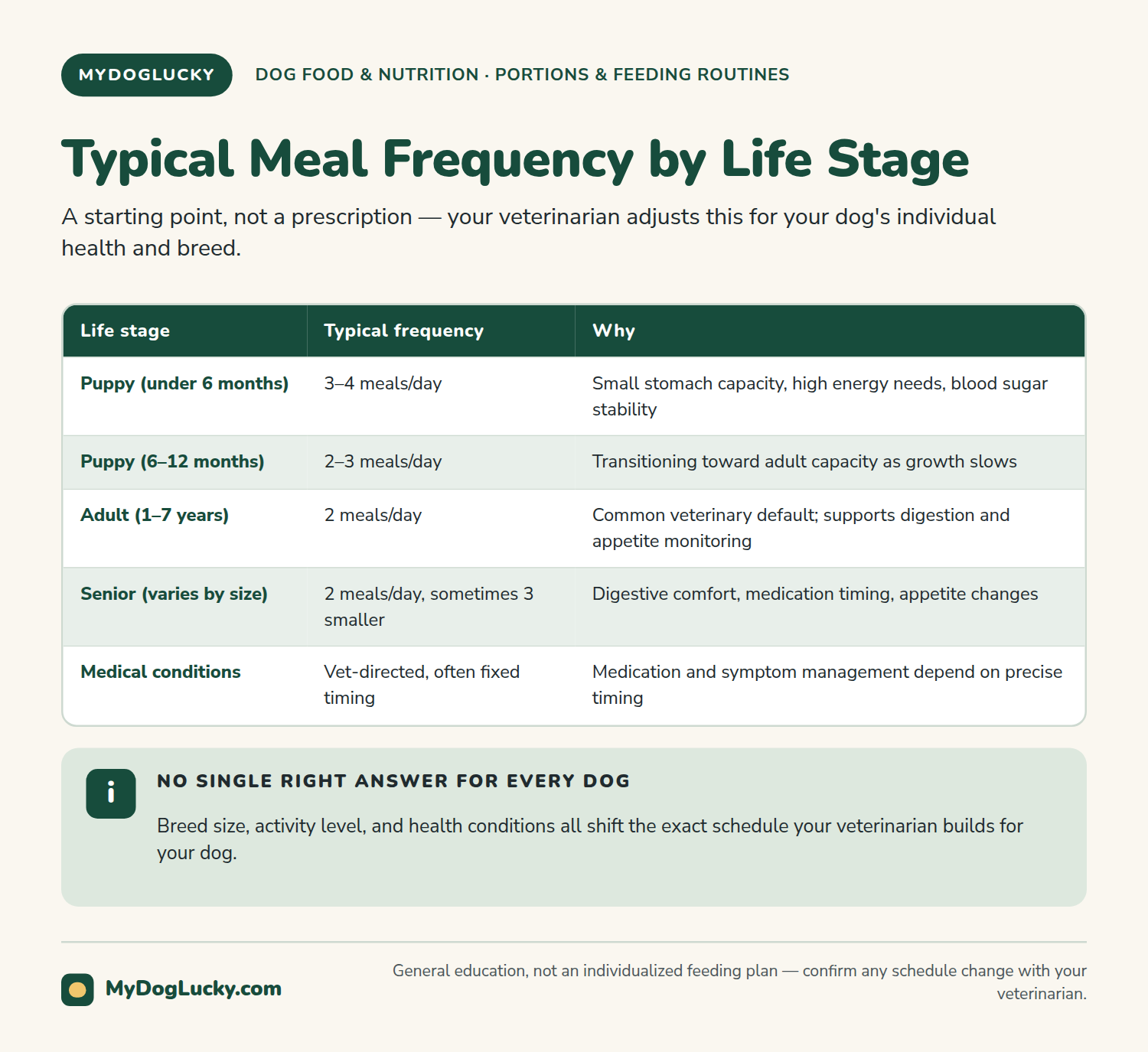 How often should you feed a dog infographic table showing typical meal frequency for puppies, adult dogs, and senior dogs, with a brief reason for each.