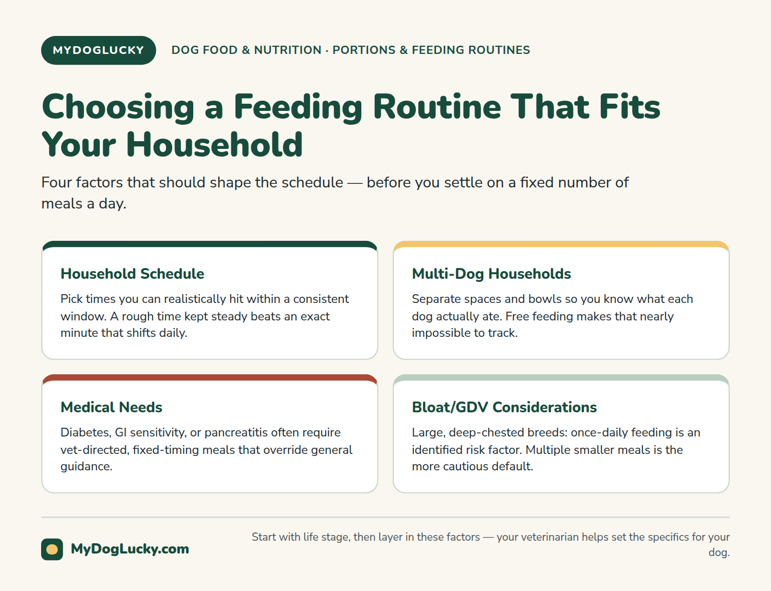 How often should you feed a dog infographic showing four factors that shape the right feeding routine for a household: daily schedule, multi-dog dynamics, medical needs, and bloat/GDV considerations.