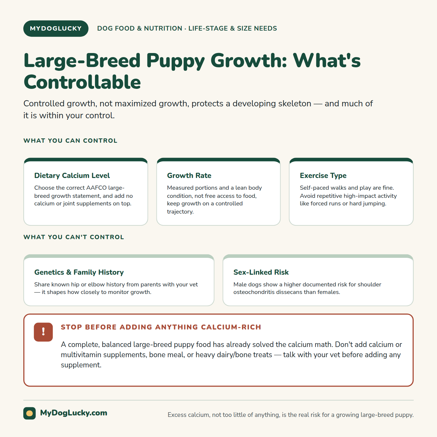 Large-breed puppy food infographic contrasting controllable growth-rate factors for large-breed puppies, such as calcium management and exercise type, against non-controllable factors like genetics, with a warning against calcium oversupplementation.