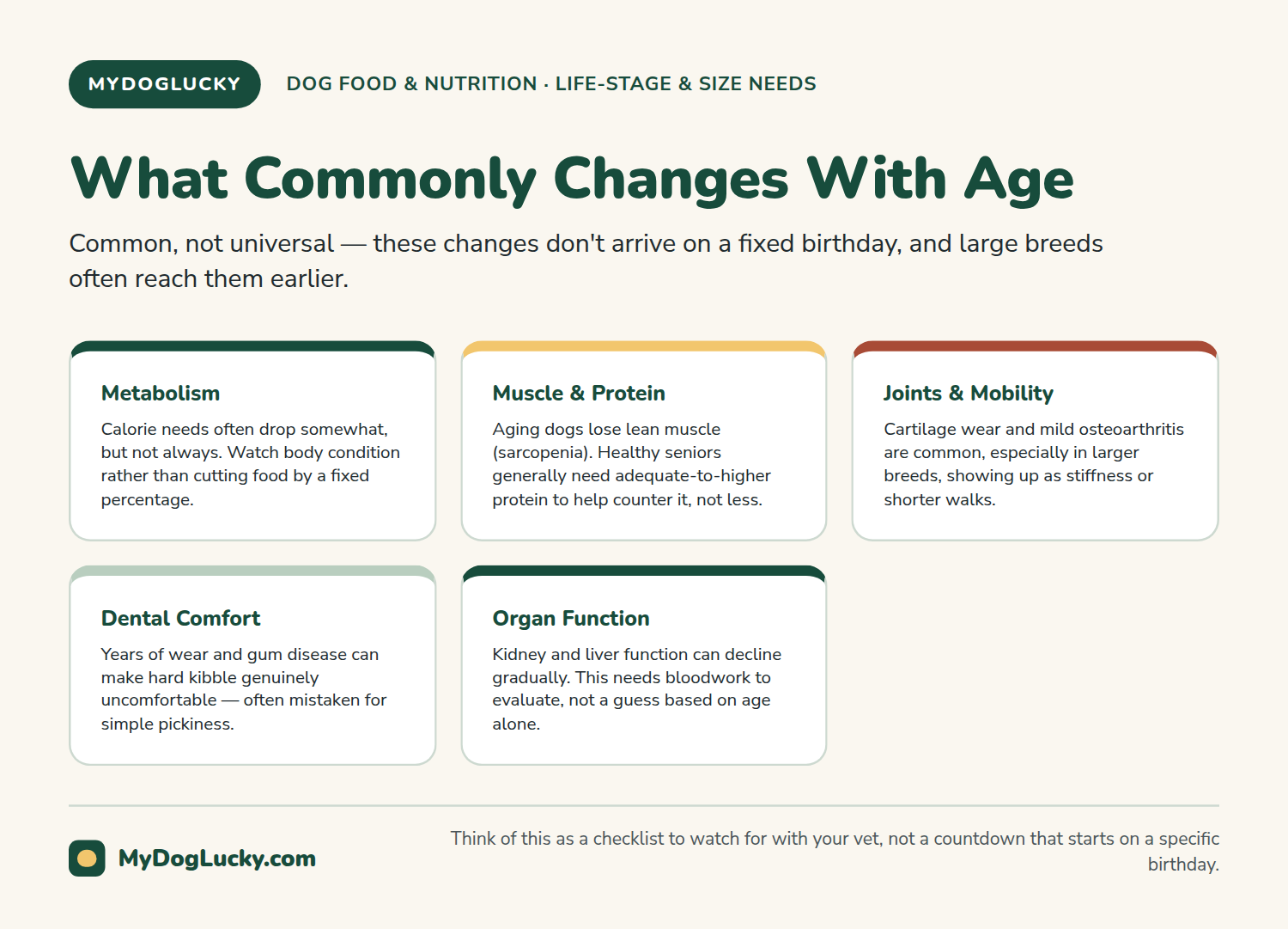 Senior dog food infographic covering common age-related changes in dogs relevant to nutrition: metabolism, muscle and protein needs, joint health, dental changes, and organ-function monitoring.