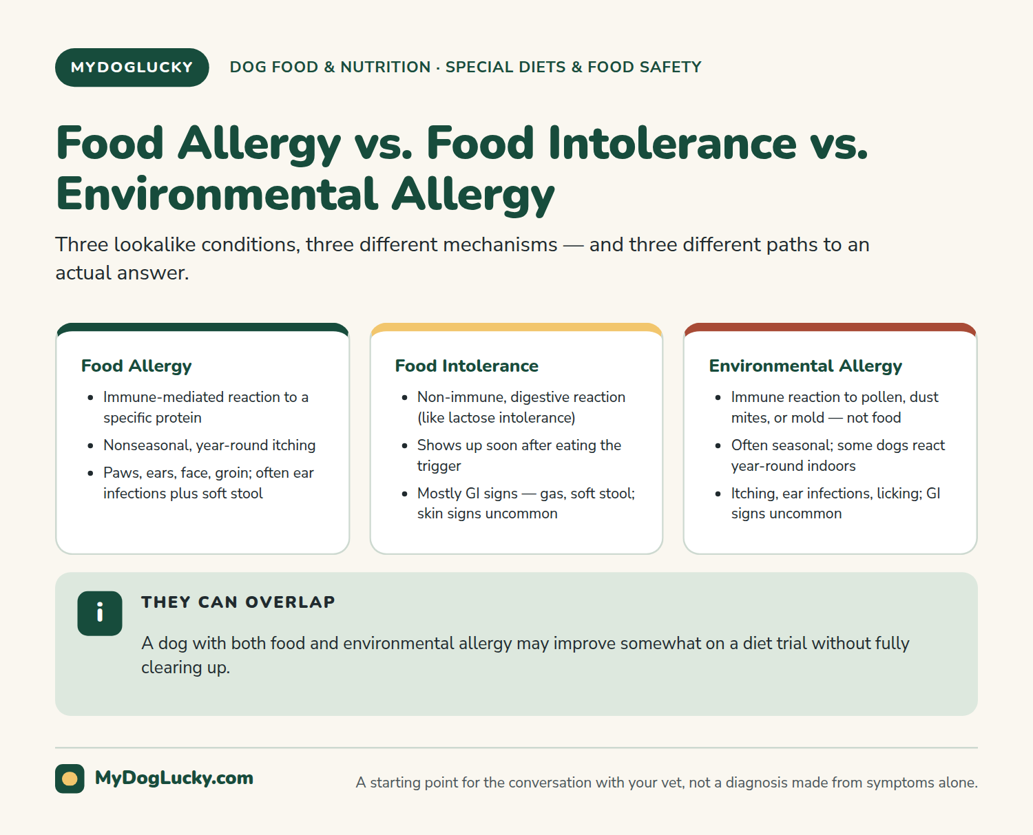 Food allergies in dogs infographic comparing food allergy, food intolerance, and environmental allergy in dogs by mechanism, onset, and typical signs.