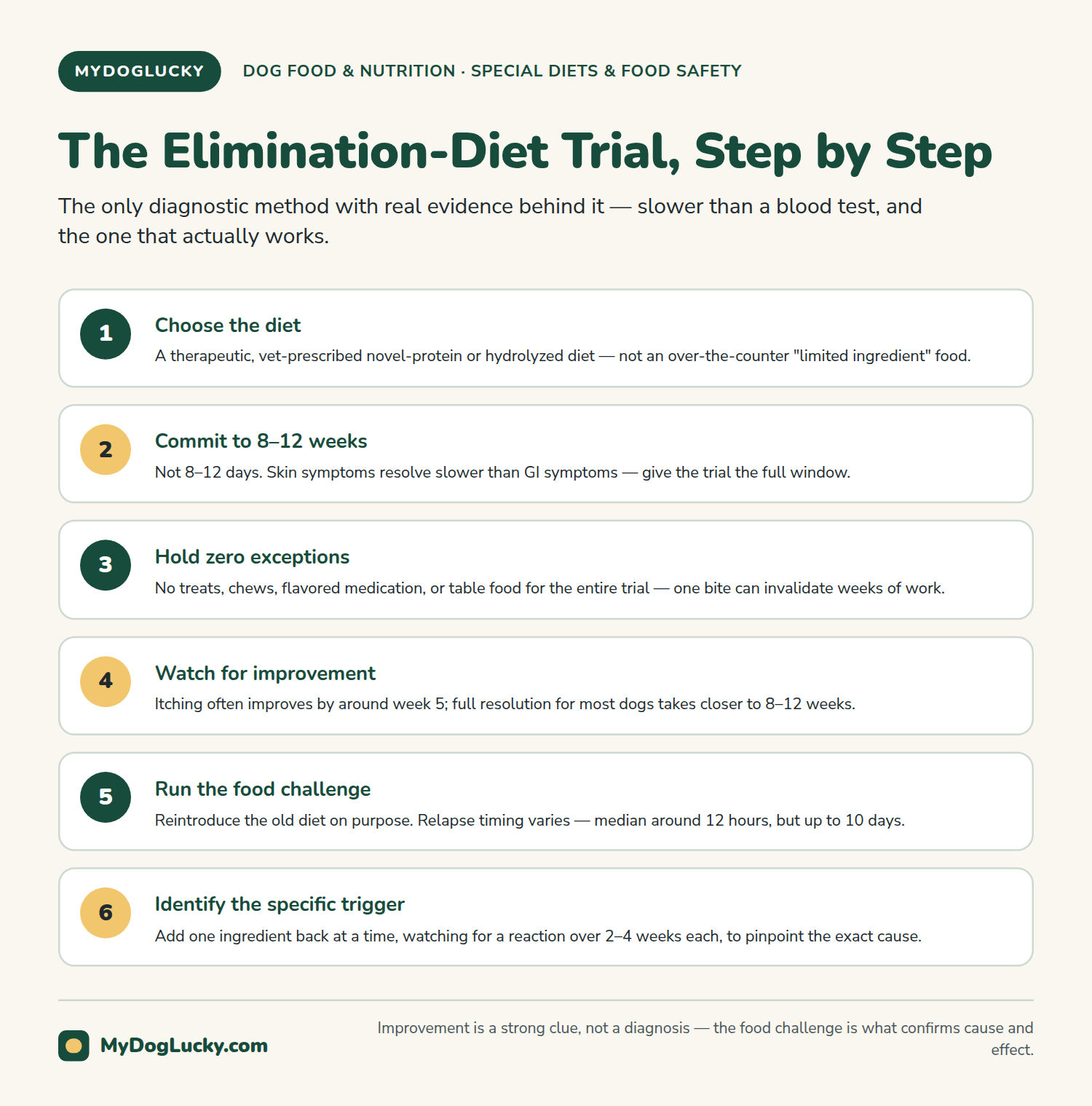 Food allergies in dogs infographic: walkthrough of the elimination-diet trial process for diagnosing a food allergy in dogs: choosing a novel or hydrolyzed protein diet, an 8-12 week strict trial, and a controlled food challenge.