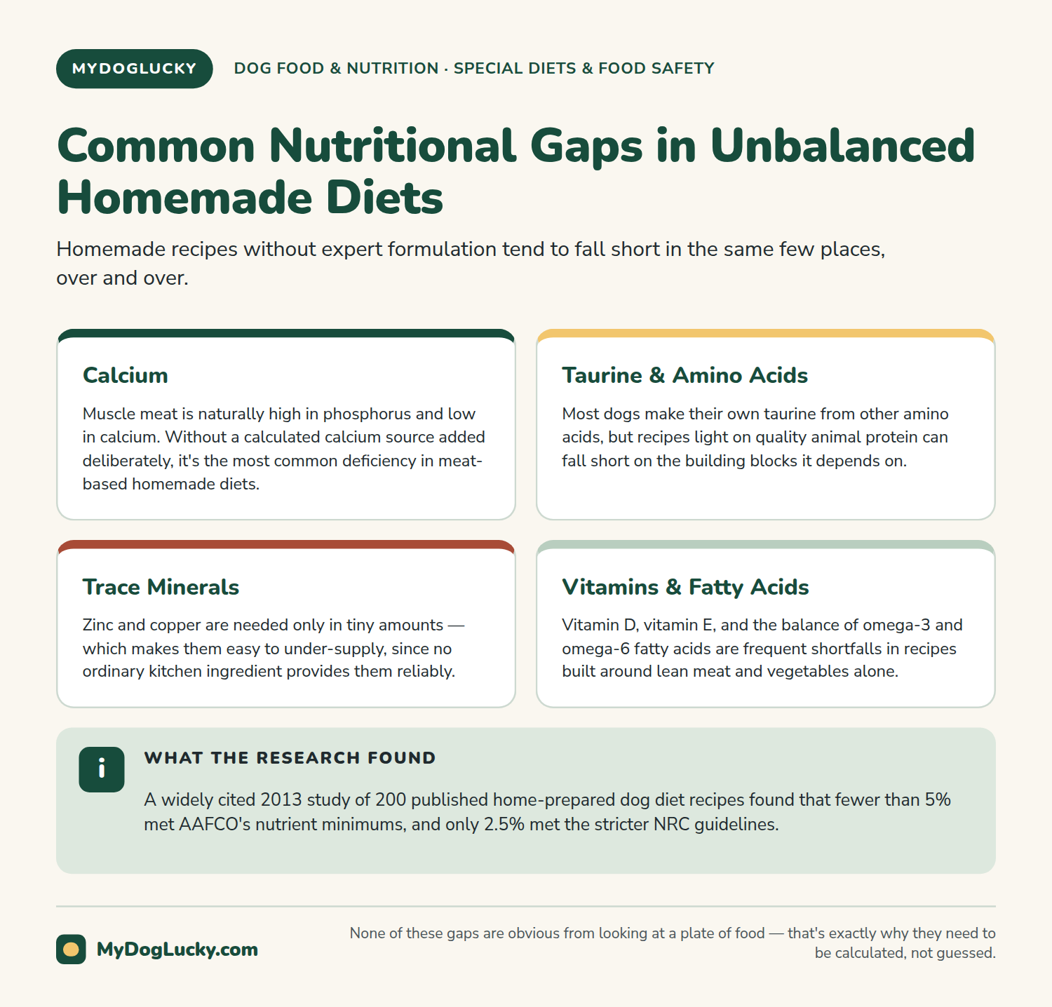 Homemade dog food infographic showing common nutritional gaps in unbalanced homemade dog food diets, including calcium, taurine and amino acids, trace minerals, and vitamin and fatty acid balance.