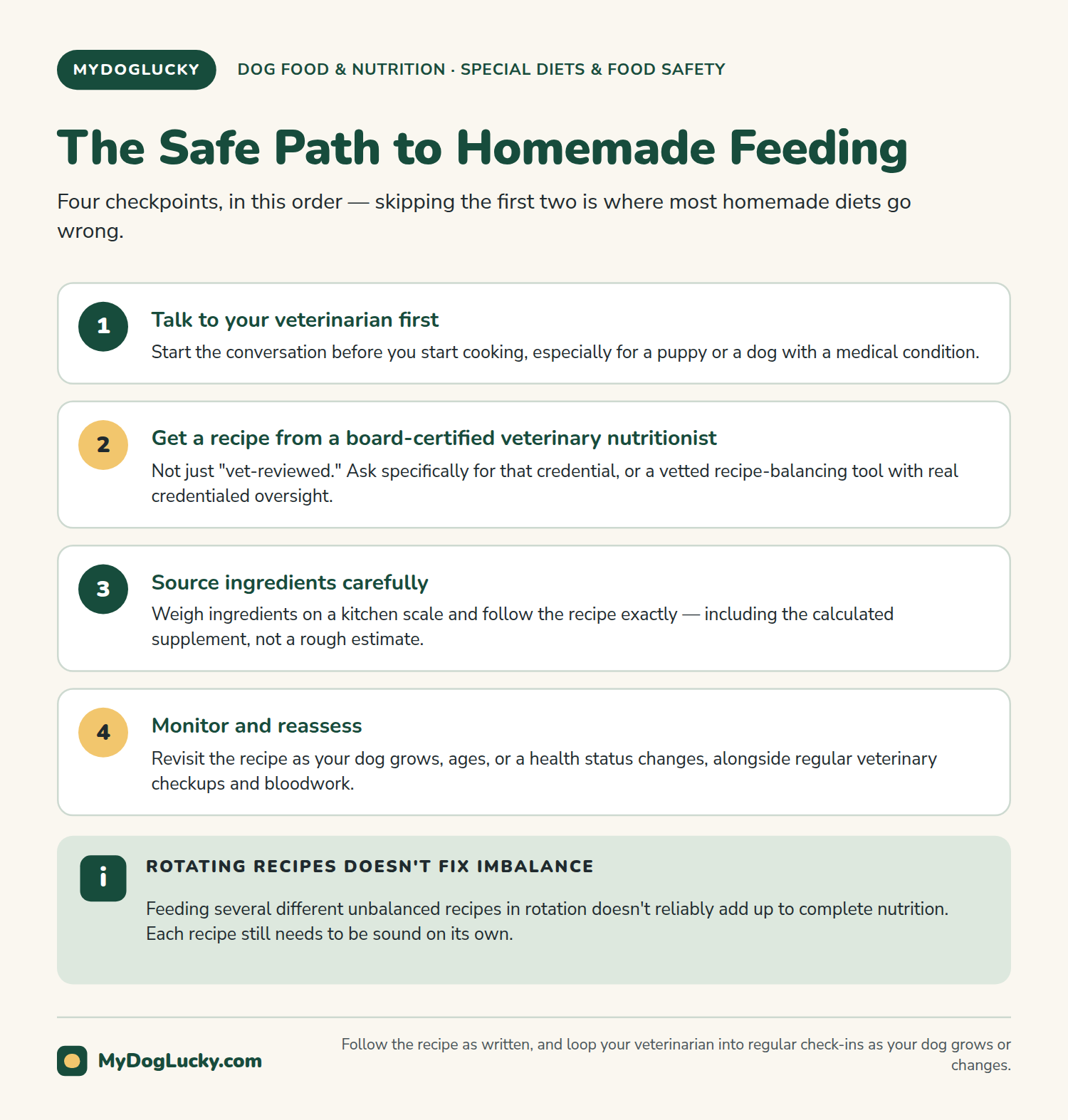 Homemade dog food infographic showing a four-step safe path to homemade dog food feeding: vet consultation, a board-certified veterinary nutritionist's recipe, careful ingredient sourcing, and ongoing monitoring.