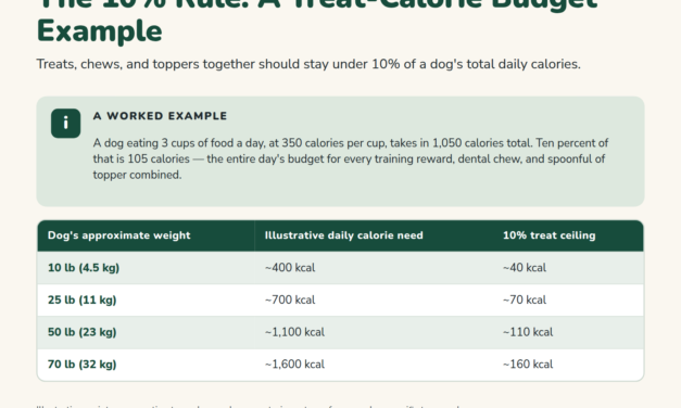 Dog Treats and Toppers: Portions, Training Rewards, and Diet Balance