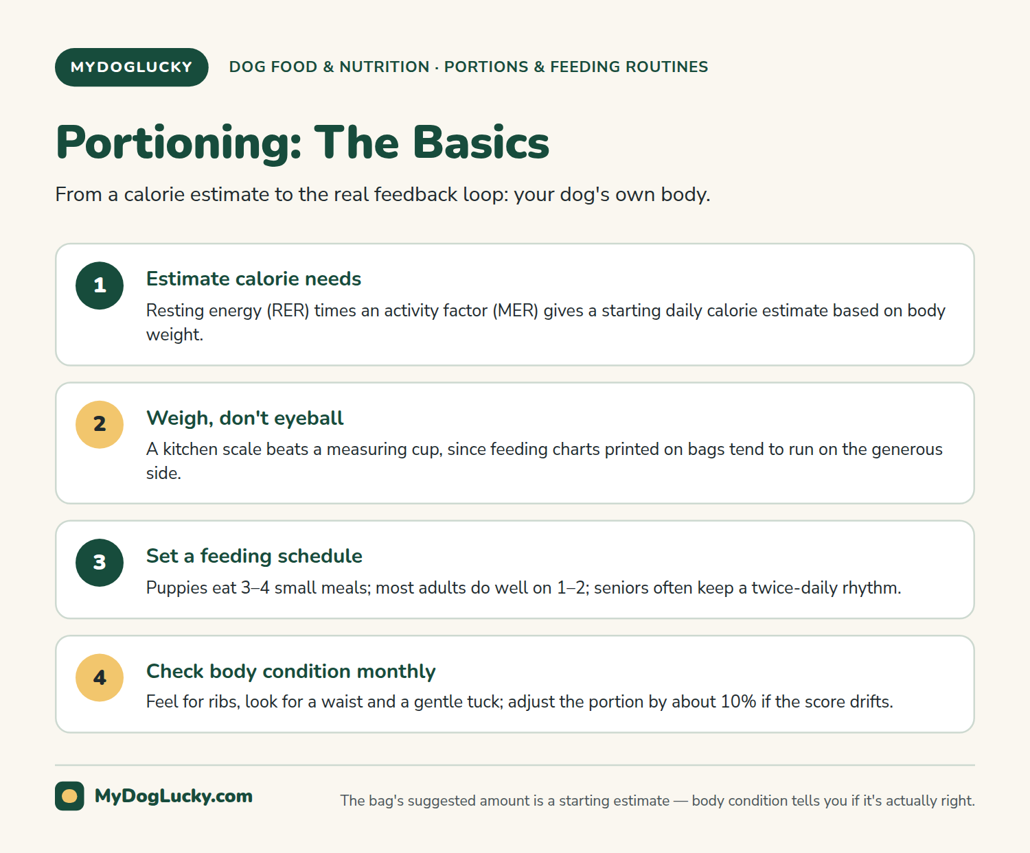 Dog nutrition infographic: walkthrough of portioning basics: estimating calorie needs, weighing food rather than eyeballing it, building a feeding schedule, and using body condition as the real feedback loop.