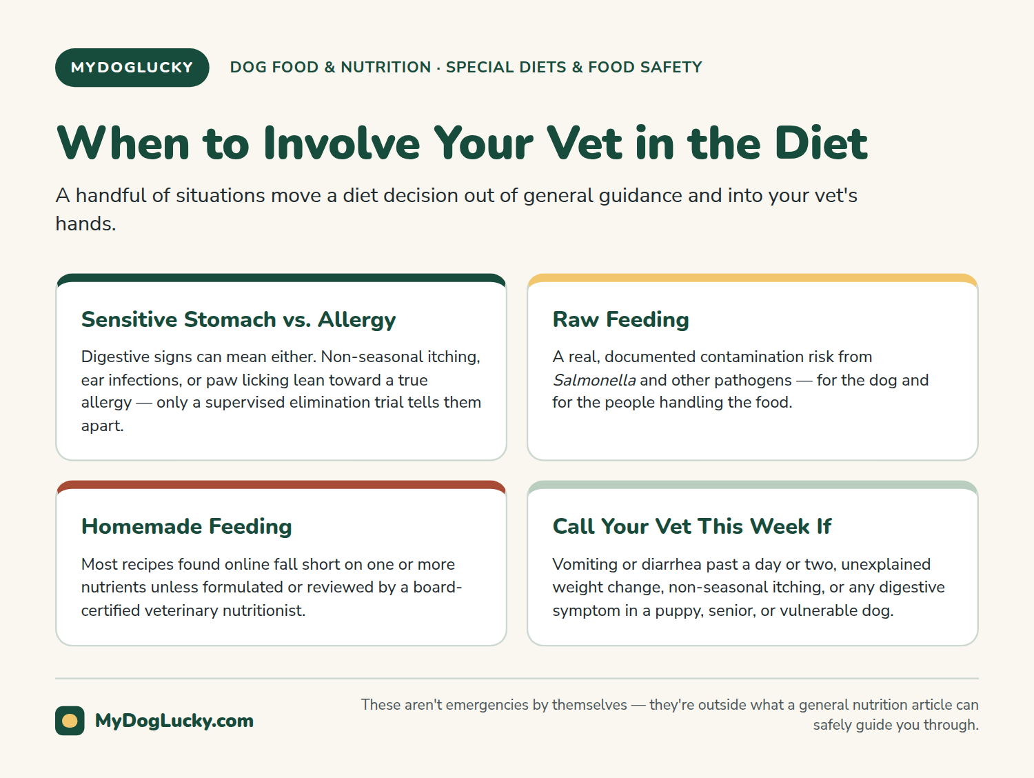 Dog nutrition infographic covering when to involve a veterinarian in diet decisions: sensitive stomach vs. allergy, raw-feeding risk, homemade-feeding risk, and signs it's time to call.