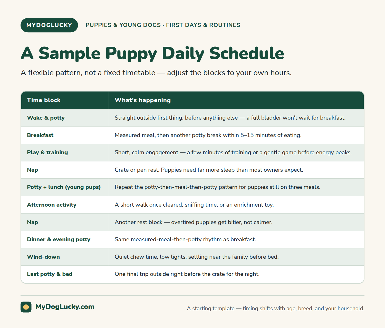 Puppy schedule infographic showing a sample puppy daily schedule as a table of ten time blocks from morning wake and potty through breakfast, play, naps, afternoon activity, dinner, wind-down, and the last potty break before bed.