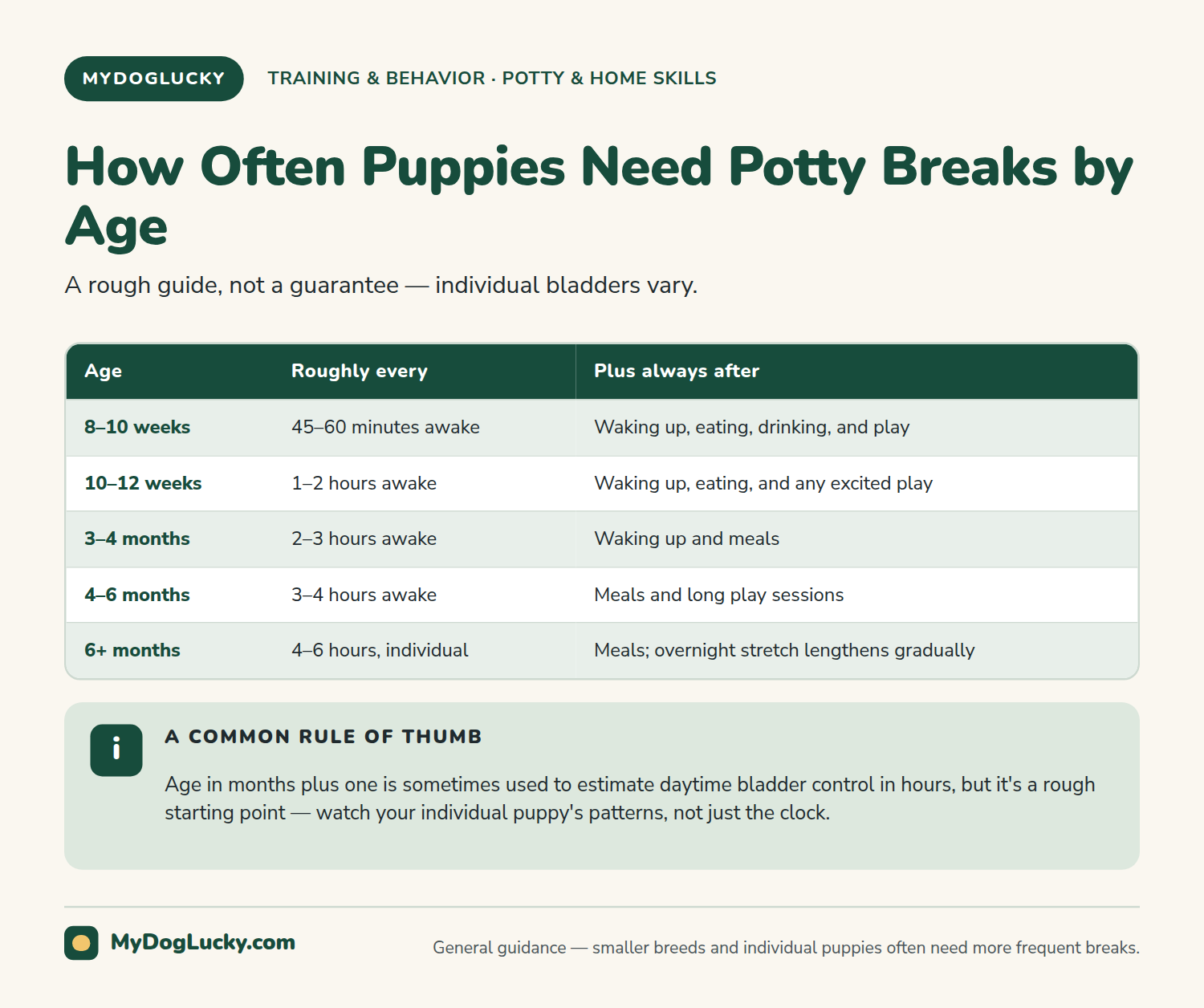 How to potty train a puppy infographic table showing how often puppies typically need potty breaks by age, from every 45 to 60 minutes at 8 to 10 weeks down to every 4 to 6 hours by 6 months and older, plus a rule-of-thumb callout.