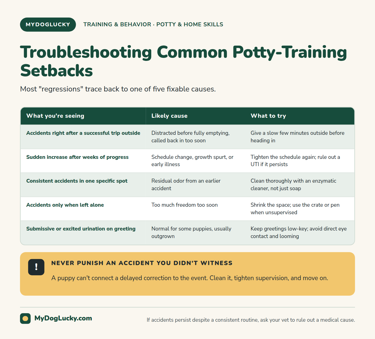 How to potty train a puppy infographic table listing five common potty-training setbacks with likely causes and fixes: accidents right after going outside, sudden increases after progress, one repeated spot, accidents only when left alone, and submissive urination.