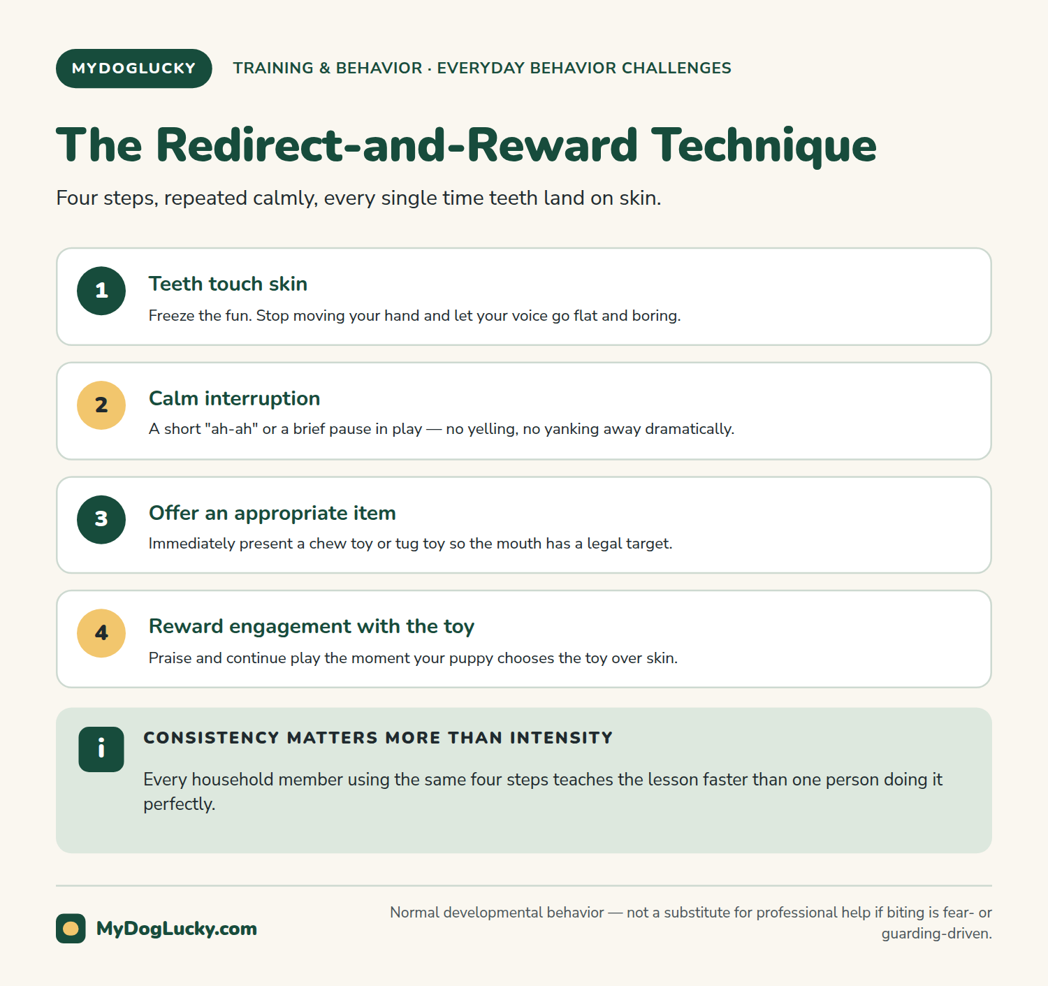 Puppy biting infographic showing the four-step redirect-and-reward technique for puppy biting: teeth touch skin, calm interruption, offer an appropriate chew or tug toy, and reward engagement with the toy.