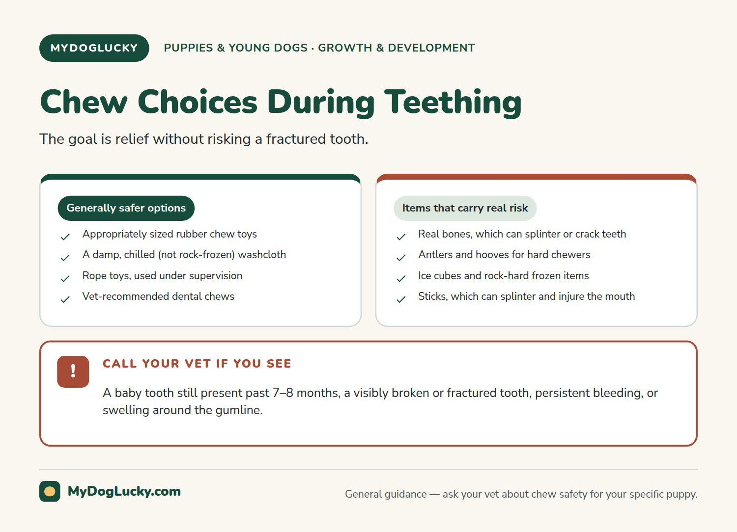 Puppy teething infographic comparing generally safer chew options like rubber toys, a chilled washcloth, and supervised rope toys against risky items like real bones, antlers, ice cubes, and sticks, plus a panel on when to call the vet.