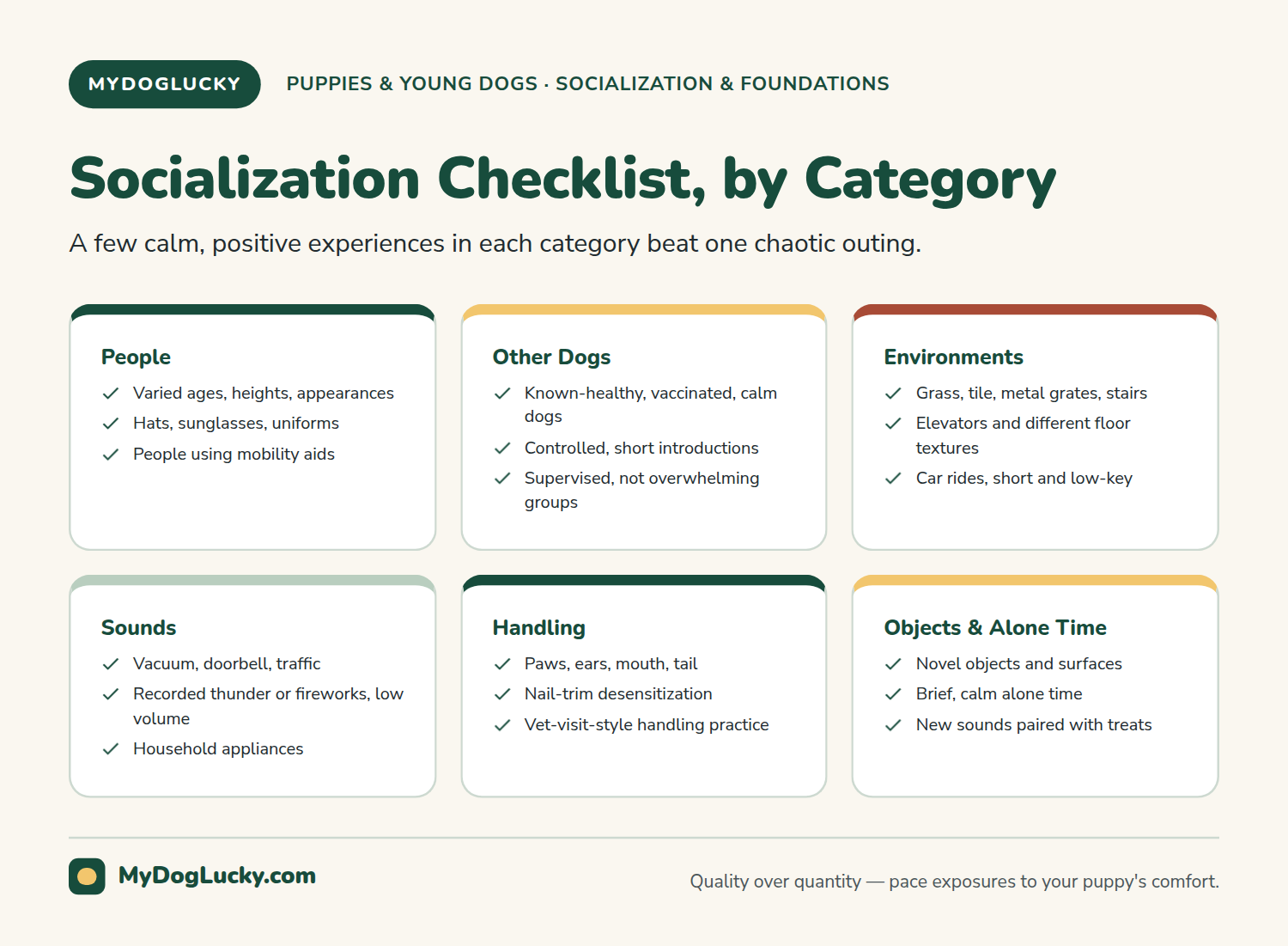 Puppy socialization checklist infographic showing a puppy socialization checklist matrix organized into six categories: people, other dogs, environments, sounds, handling, and objects and alone time, with example items in each category.