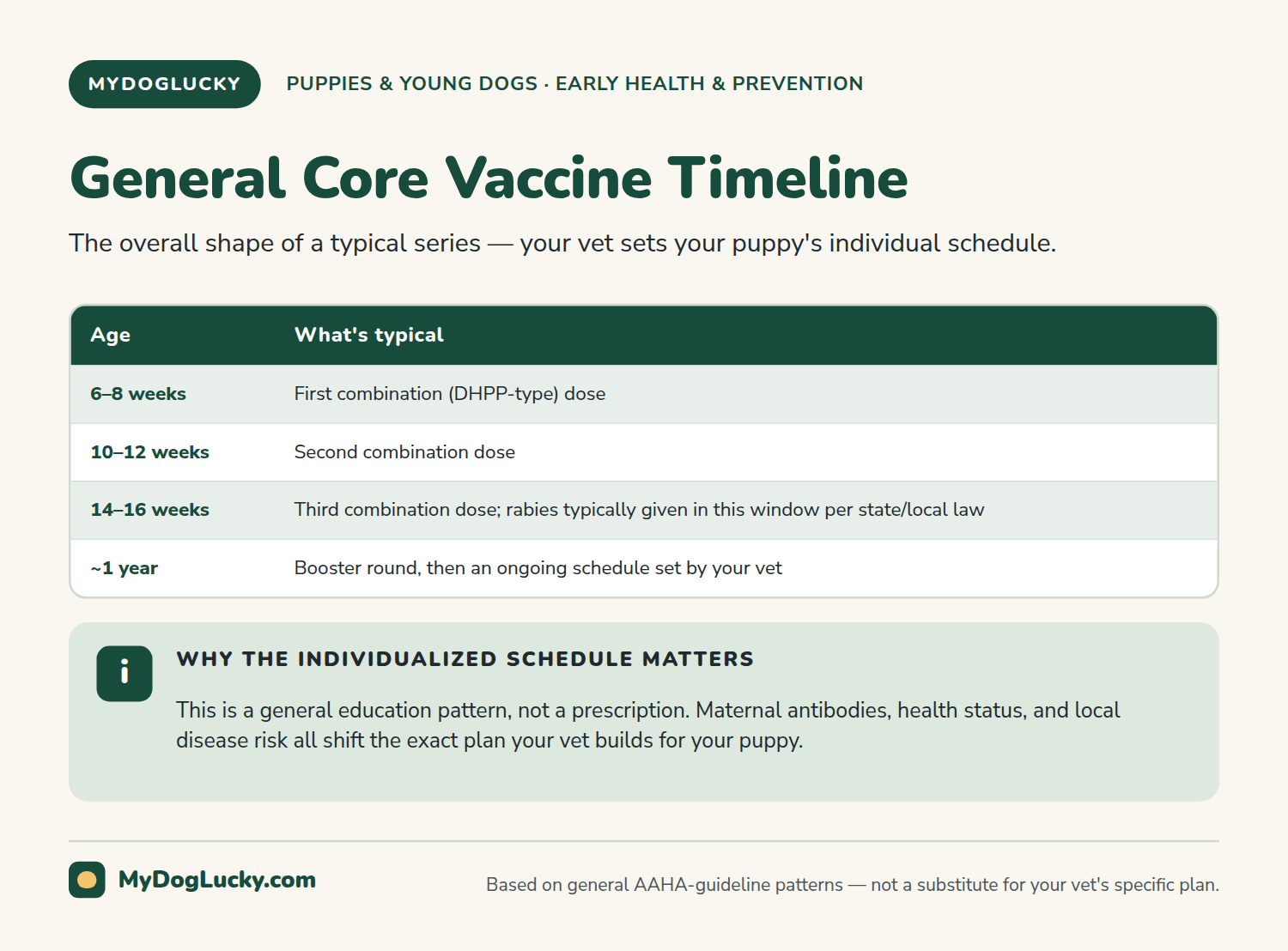 Puppy vaccination schedule infographic table showing a general puppy core vaccine timeline: first combination dose at 6 to 8 weeks, second at 10 to 12 weeks, third plus rabies at 14 to 16 weeks, and a booster round around 1 year.