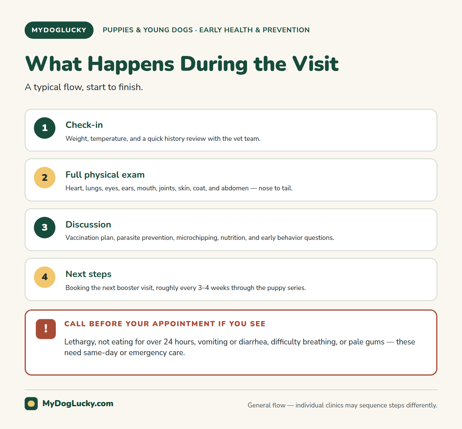 Puppy first vet visit infographic showing a four-step first vet visit flow: check-in, full physical exam, discussion of vaccines and prevention, and next steps, plus a red-flag panel on when to call before the scheduled appointment.